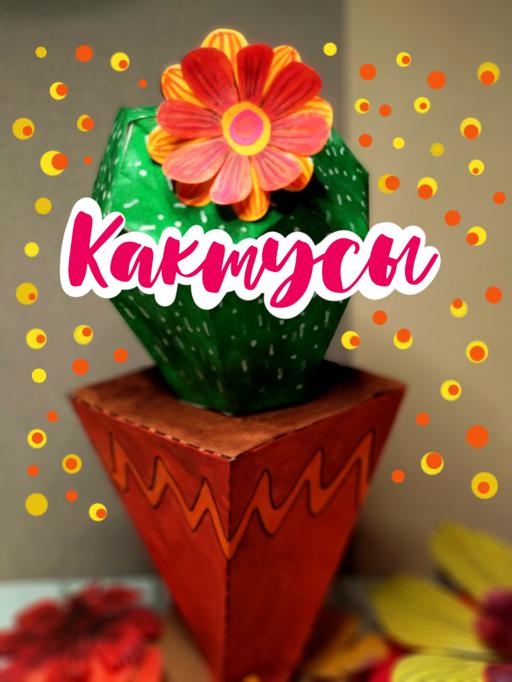 Кактусы