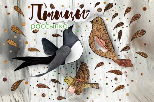 Птицы