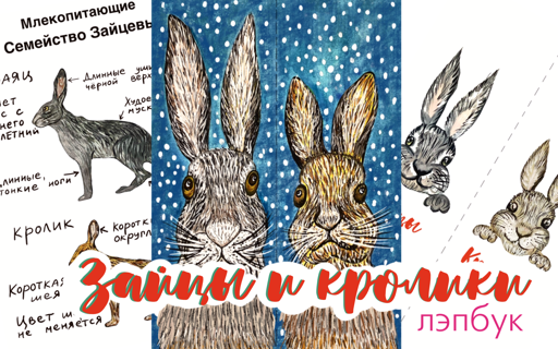 Зайцы и кролики
